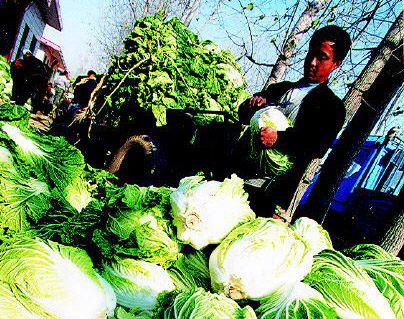 蔬菜卖不出 促化农超对接